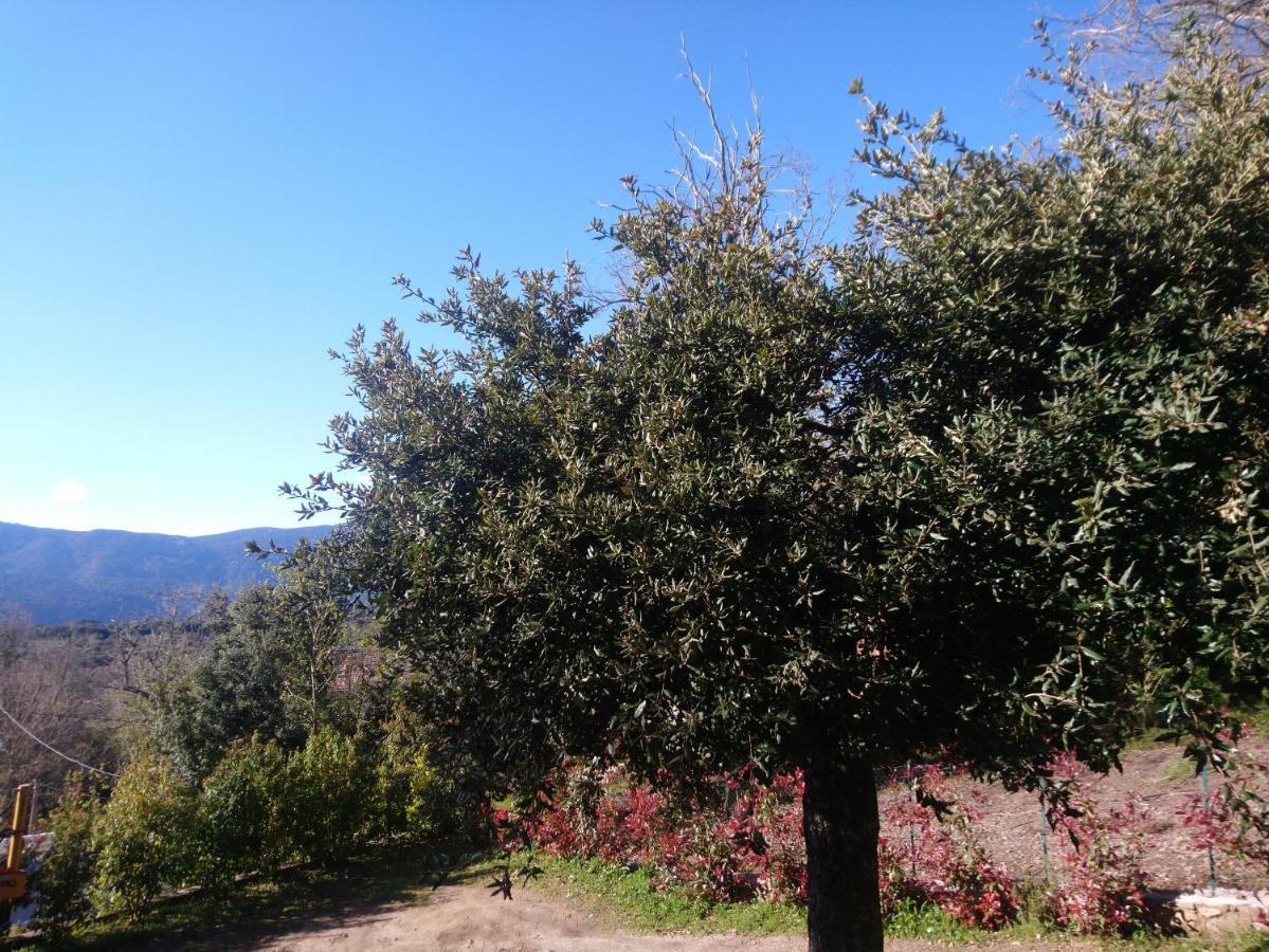 דירות Levie Casa Tanghicciola מראה חיצוני תמונה
